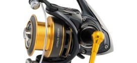 daiwa legalis lgl